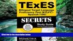 Online TExES Exam Secrets Test Prep Team TExES Bilingual Target Language Proficiency Test (BTLPT)