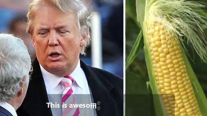 10 donald trump impersonators you have to see to believe