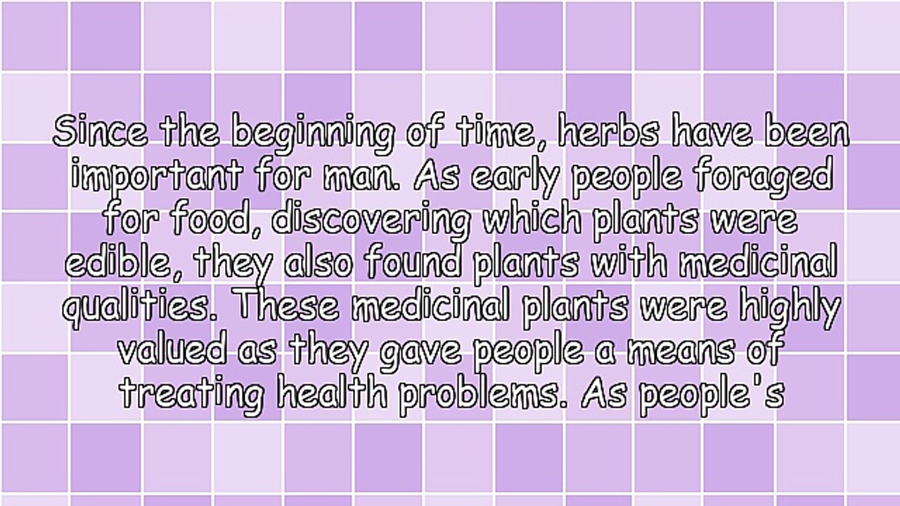 Herbs, The Foundation of Medicine