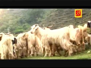 Vshwas Kiya Singer- Mahaveer Thakur swagatfilms