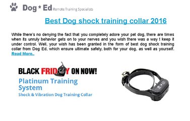 Best Dog shock training collar 2016