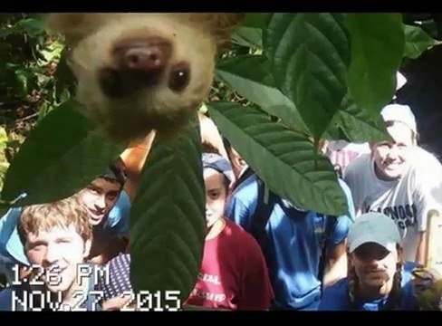 5 greatest animal photobombs ever