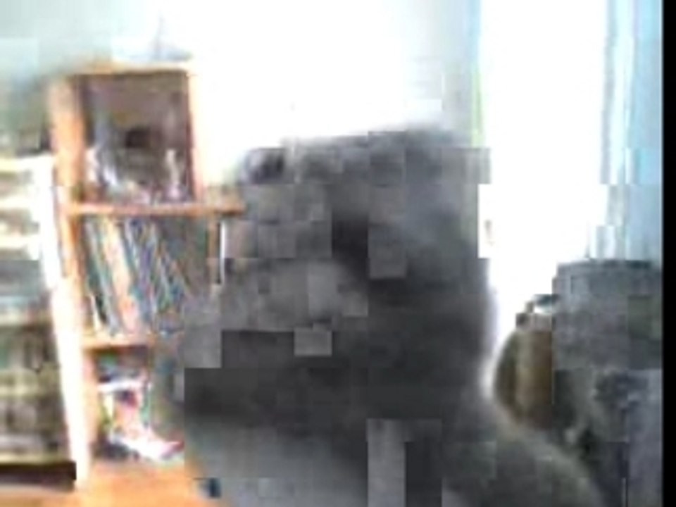 Ratonelectro