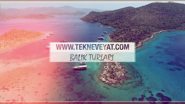 Tekne ve Yat Balık Avı Turları tekneveyat.com