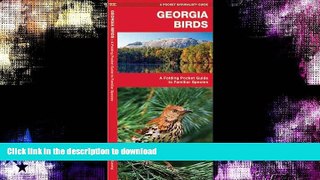 READ  Georgia Birds: A Folding Pocket Guide to Familiar Species (Pocket Naturalist Guide Series)