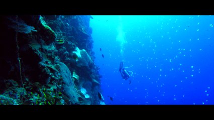 Christmas Island - Explore the Ocean - Christmas Island, Australia