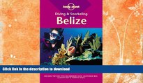 READ BOOK  Lonely Planet : Diving   Snorkeling Belize FULL ONLINE