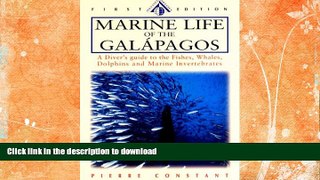 FAVORITE BOOK  Marine Life of the Galapagos: A Diver s Guide to the Fishes, Whales, Dolphins and