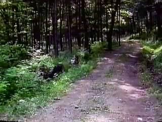 카지노사이트れ／／ ＧＭ５５４。COM  ／／ぉ퍼터