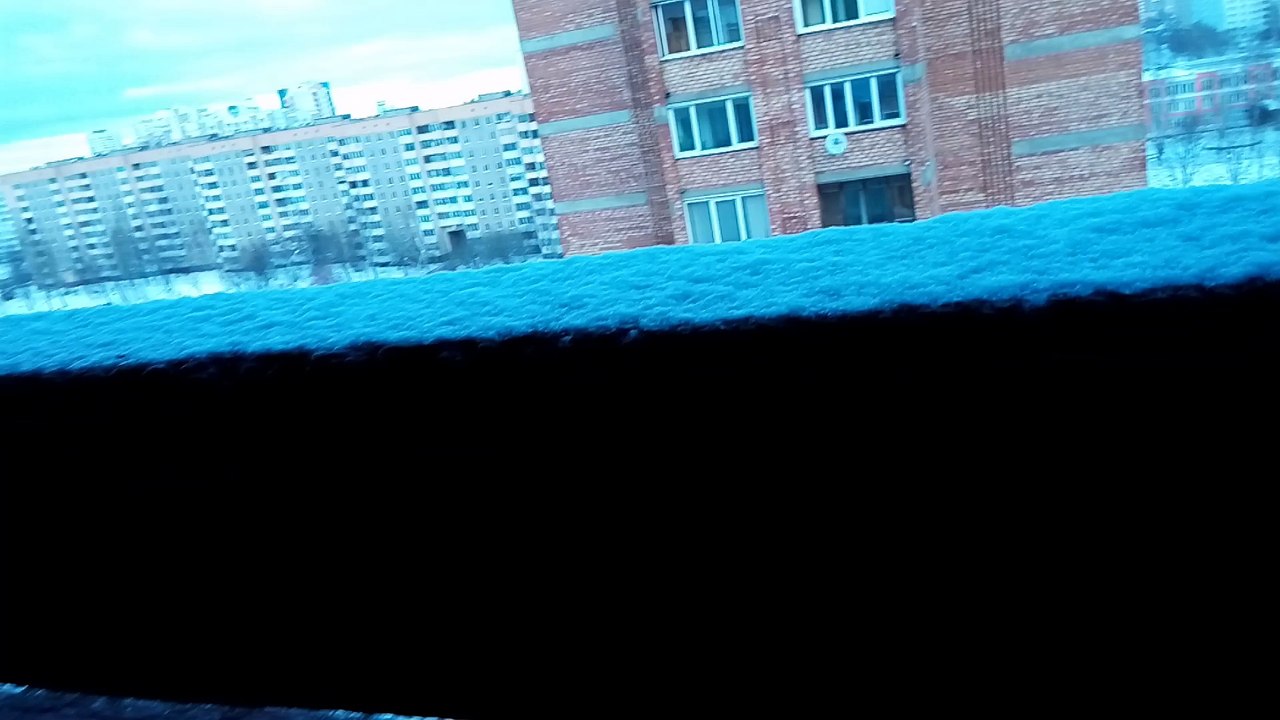 VIDEO0011[1]