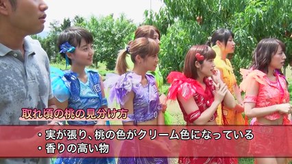 アップアップガールズ（仮）岡山旅　マスカット＆清水白桃編