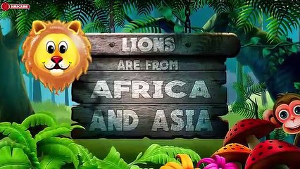 Lion VS Giant Anaconda Snake