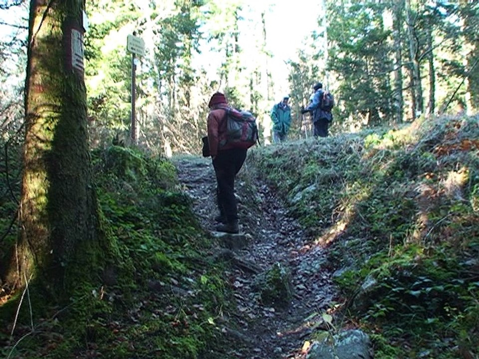 Sur les sentiers de Rocharay - Parking du camping - Miribel-les-Echelles 38380