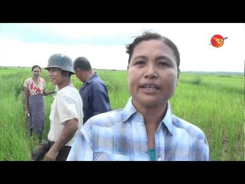 Association of salt confiscated land
