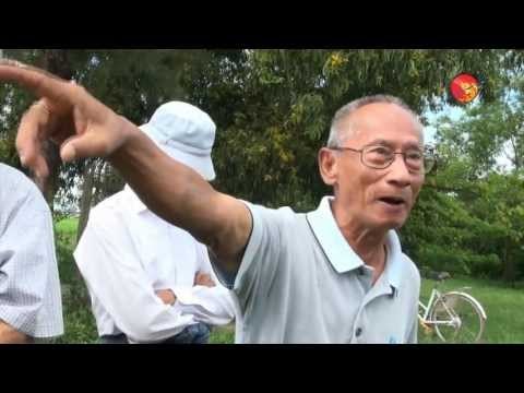 School's land was confiscated by industry