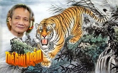 [Năm Cam-P6]. Năm Cam 'lấy số' giang hồ Sài Gòn như thế nào?