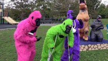 Gorillas and Dinosaurs Crazy Dance In The Zoo w/ SuperHeroes Finger Family Song