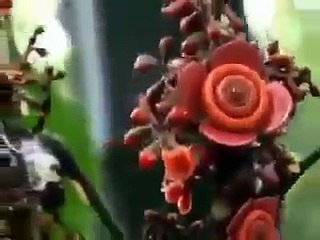 allah ki shan must watch you like it you cant watc before