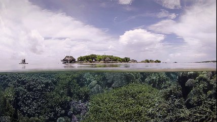 Au milieu de l'océan, à la surface !