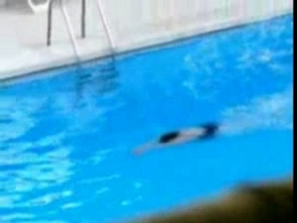 La Dernière Course De Laure Manaudou