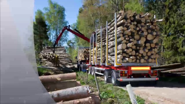 J-Bran Lawn and Beyond - (903) 200-1792