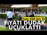 Fiyat Dudak Uçuklattı