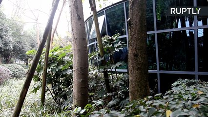 Chinese Public Toilets Lets User See Outside with One-Way Mirror