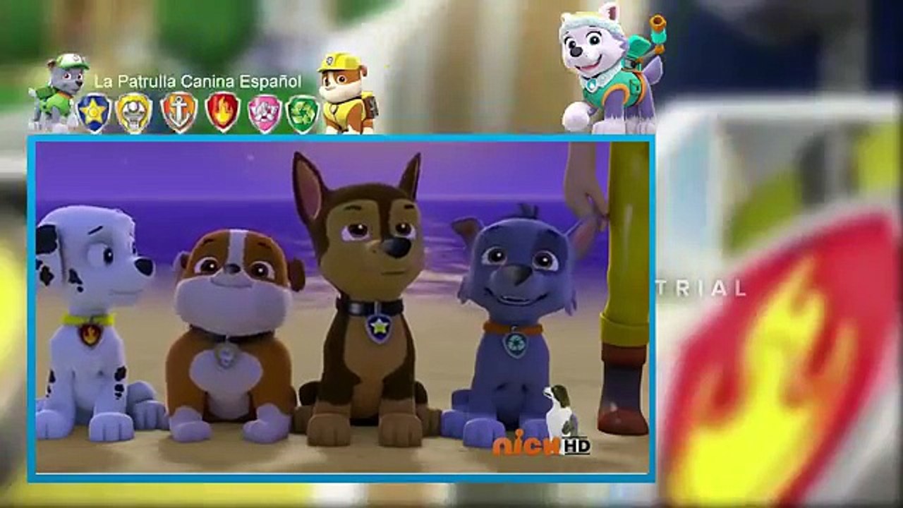 Paw Patrol Mashems Change Outfits Cartoon For Kids