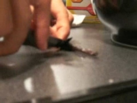 Tarte aux framboises (recette)