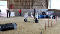 3 challenge 2016 vire jumping