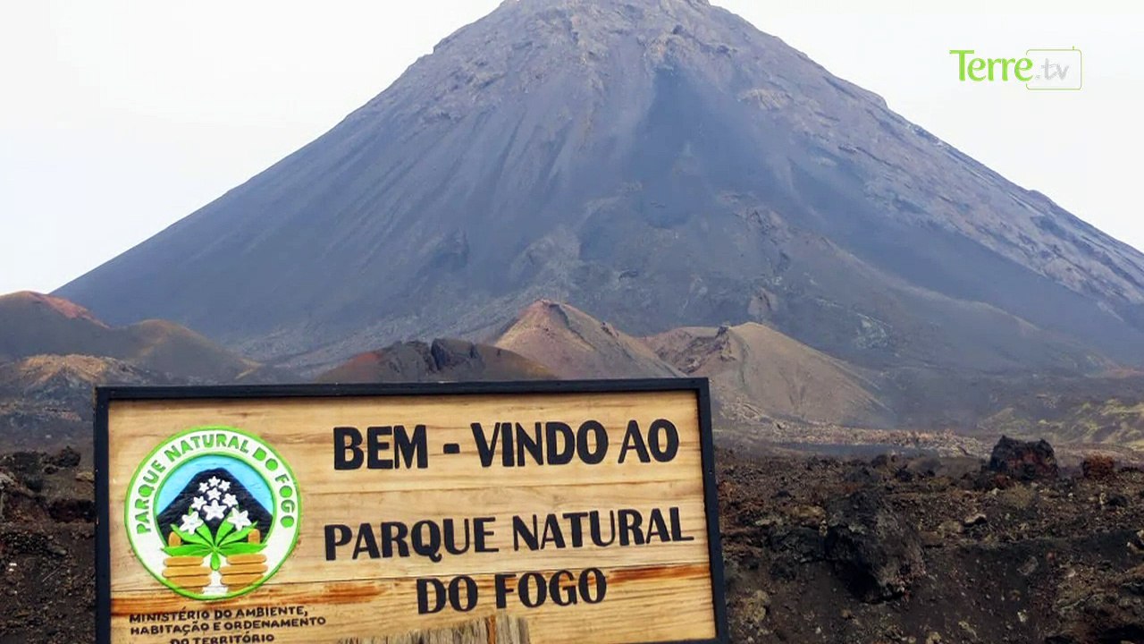 Força Na Mao : un jeu pour sensibiliser les enfants à la résilience suite à une catastrophe