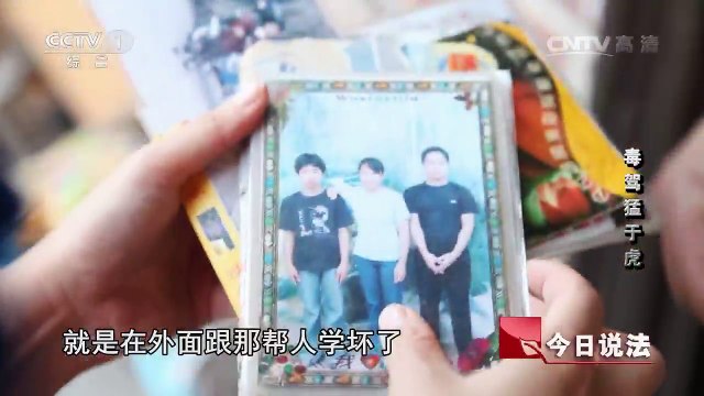 《今日说法》 20161202 毒驾猛于虎