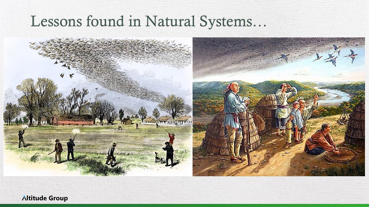 Grow Your Law Practice with Confidence by Generating New High-Value Clients Every Single Month On-Demand & Predictiably