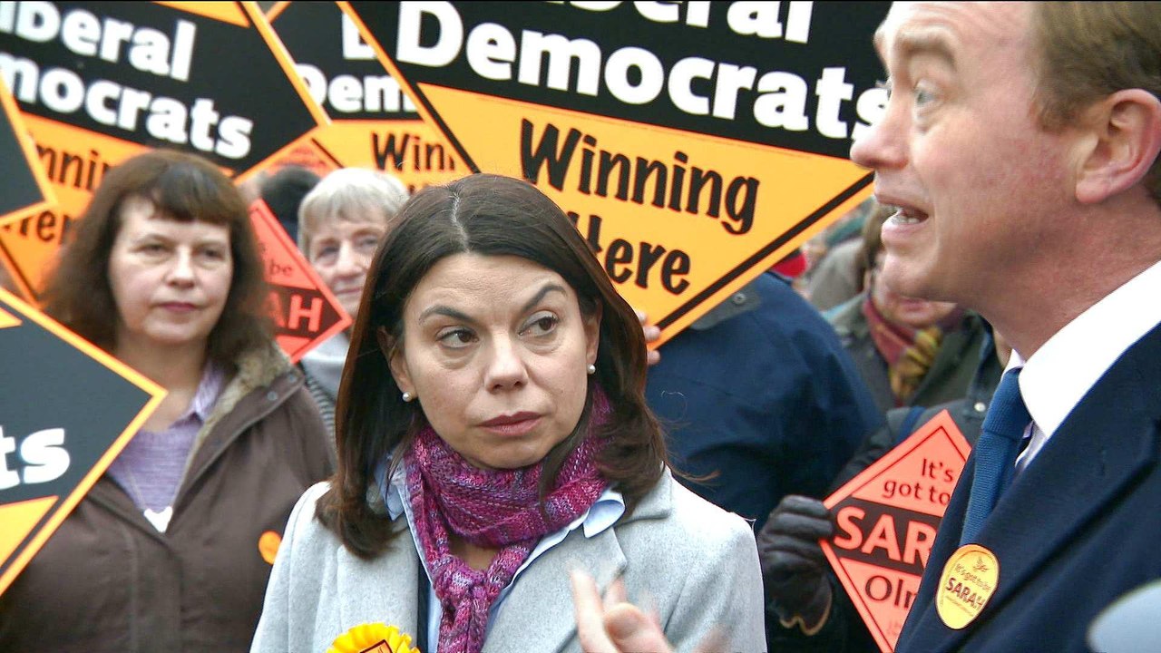 British pro-EU party wins by-election