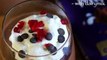 eggless chocolate mousse recipe _ chocolate mousse without egg recipe