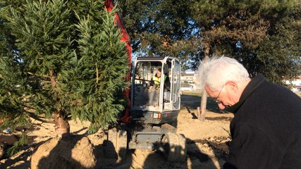 Les premières plantations au parc des Roses