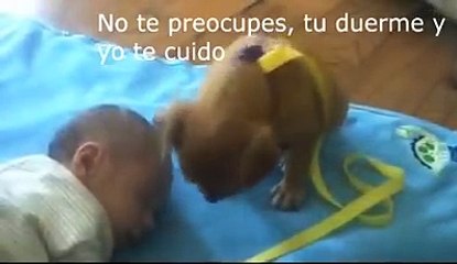 Qué bonito!!!!!!!!!! Lindo y tierno bebé y perrito