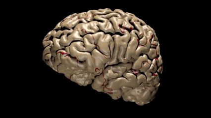 هذا الصباح- ست نصائح لصحة الدماغ والذاكرة