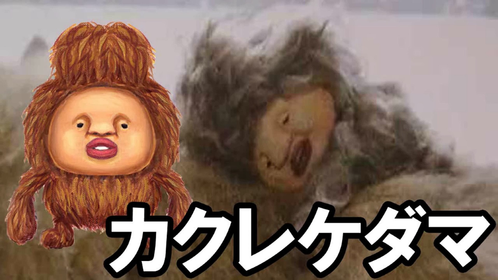 こびとずかん カクレケダマ Dailymotion Video