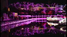 Cinco millones de bombillas iluminan un parque de atracciones en Tokio por Navidad