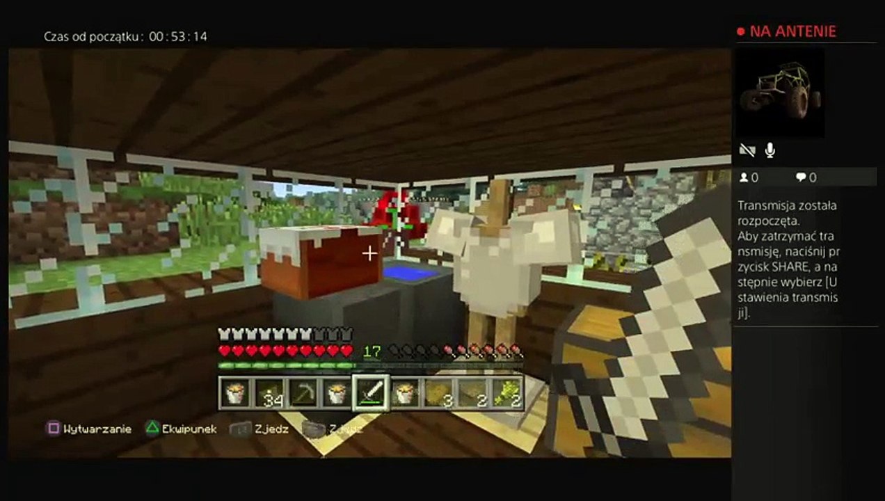 Minecraft (16)