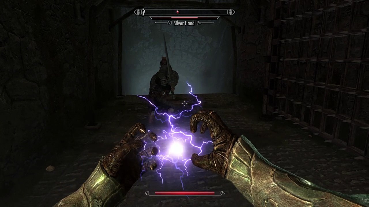 Skyrim_20161202133139