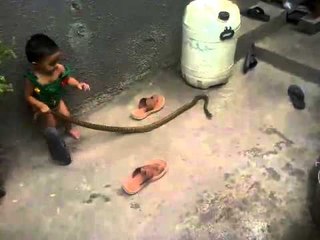 OMG !! Brave Kid Caught The Snake - Brave Baby Video - Funny Baby Video