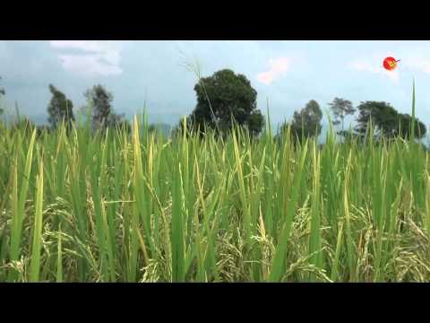 Farmers Protest in Rangoon