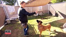 Dog Thrilled To See Owners At Shelter But They're There To Adopt Different Dog