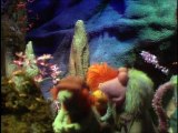 Mr. Conductor Visits Fraggle Rock Episode 88: The River of Life