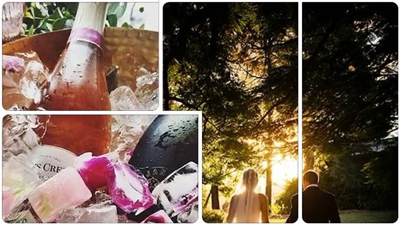 Wedding Photography - Capturing the Perfect Moment