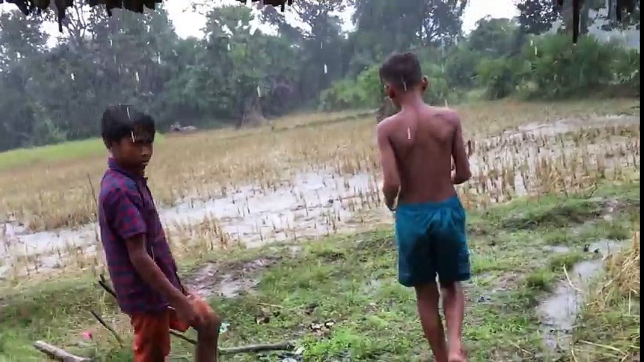 Wow! Children Catch Water Snake Using Bamboo Net Trap - How to Catch Water Snake in Cambodia