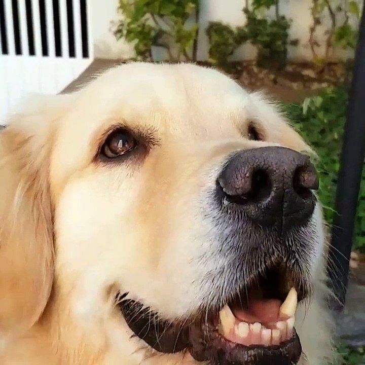A Lesson in Self Control