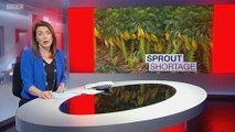 BBC1_Look North (East Yorkshire & Lincolnshire) 2Dec16 - sprout shortage